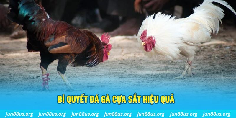 zom club xổ số miền bắc thứ ba hàng tuần