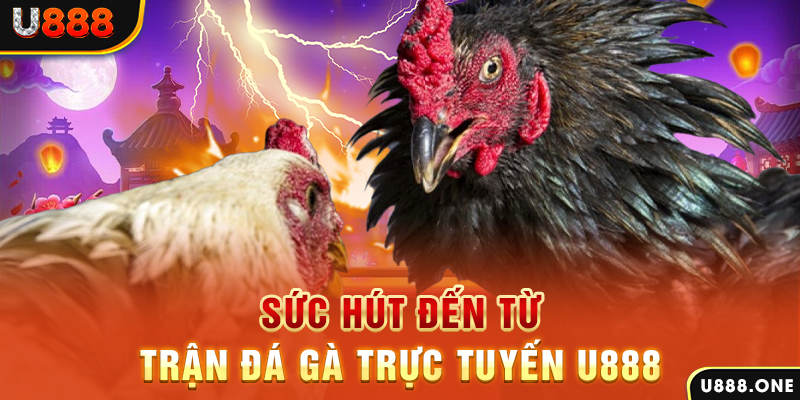 zom club đăng nhập poker 2024