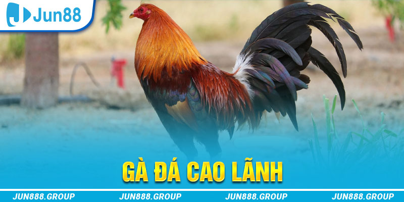 zom club tai game vua bai ve may tinh