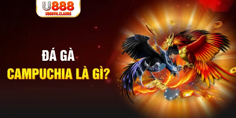 zom club what is the best online casino for real money