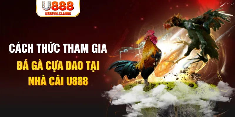 zom club đá gà 88.com