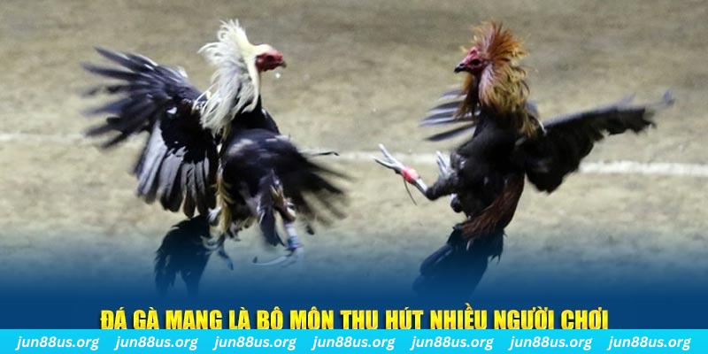 zom club đăng nhập sòng bạc số 1