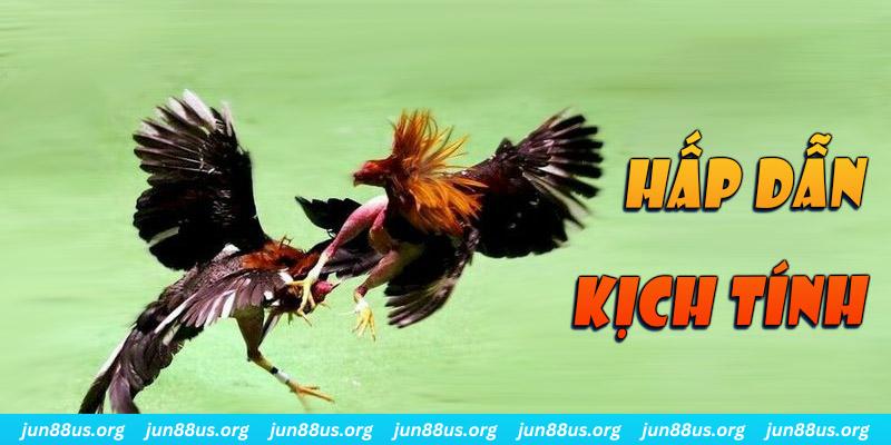 zom club xổ số miền nam thứ sáu