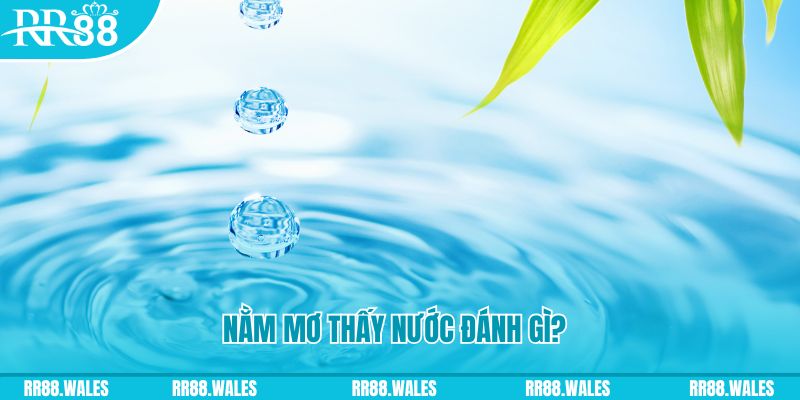 zom club xổ số trực tiếp miền bắc