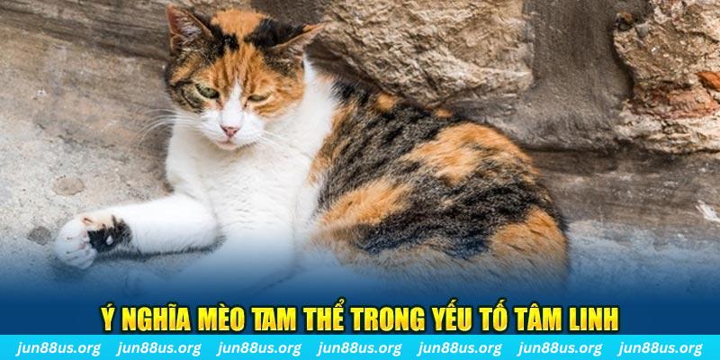 zom club máy slot game là loại trò chơi gì？