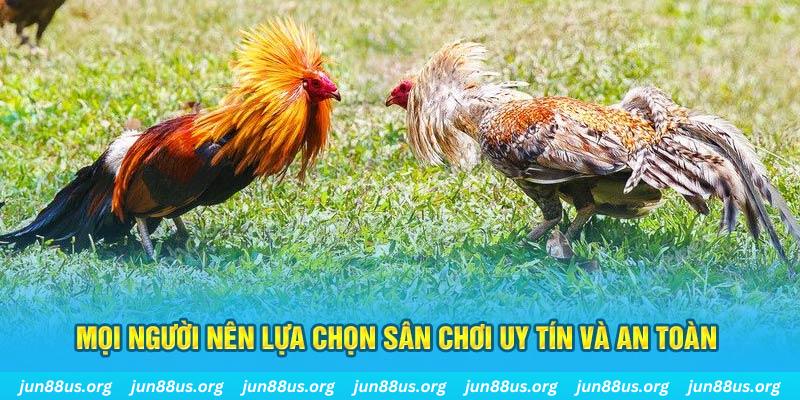 zom club đăng nhập poker 2025