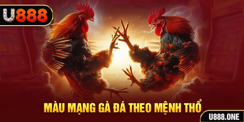 zom club đăng nhập liêng hàng đầu