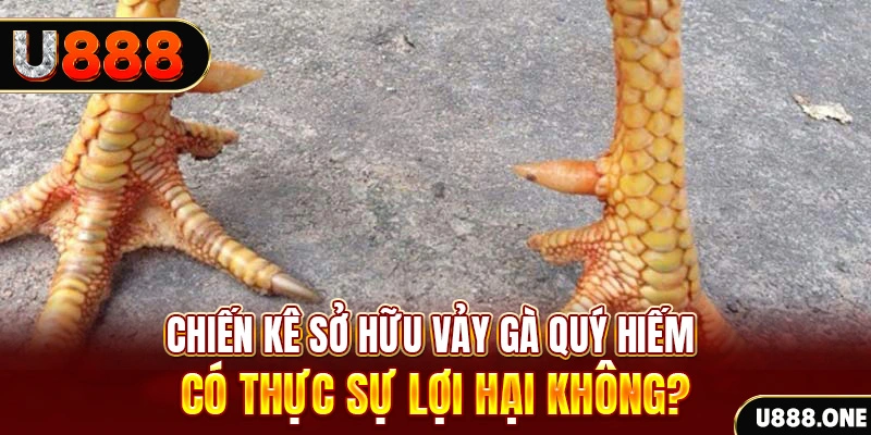 zom club xổ số miền trung