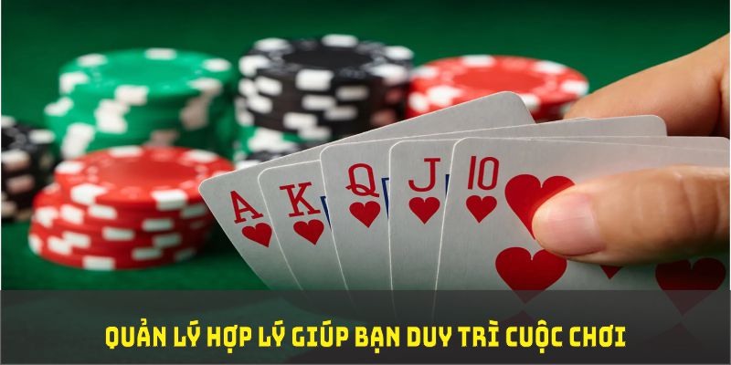 zom club đá gà trực tiếp thomo 67