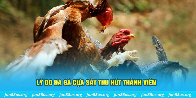 zom club nổ hũ ăn bao nhiêu