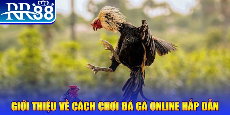 zom club EvoPlay Điện Tử