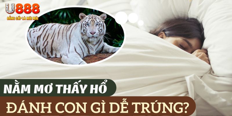 zom club nohu .mx nổ hủ là gì