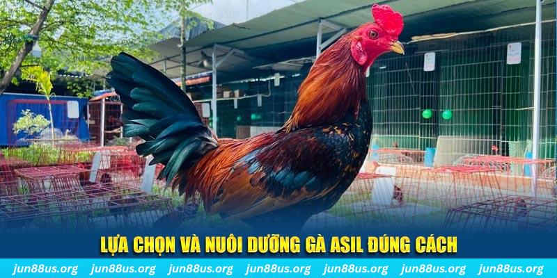 zom club nổ hũ thần tài là gì