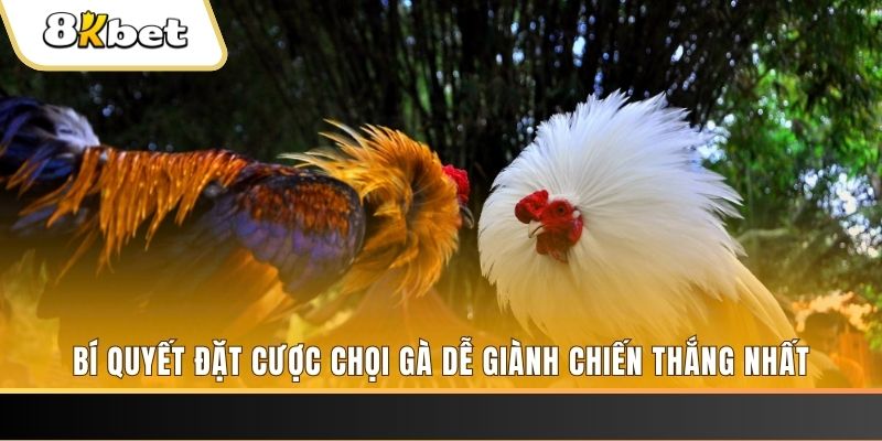 zom club nổ hũ chơi như thế nào
