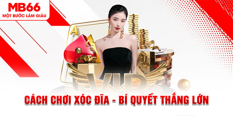 zom club Đĩa màu ace
