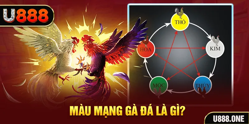 zom club V8 Game Bài 3d