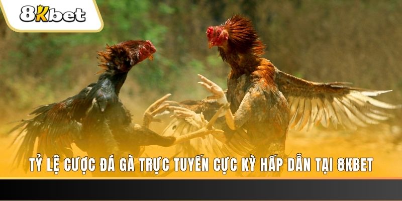 zom club xổ số miền bắc chủ nhật