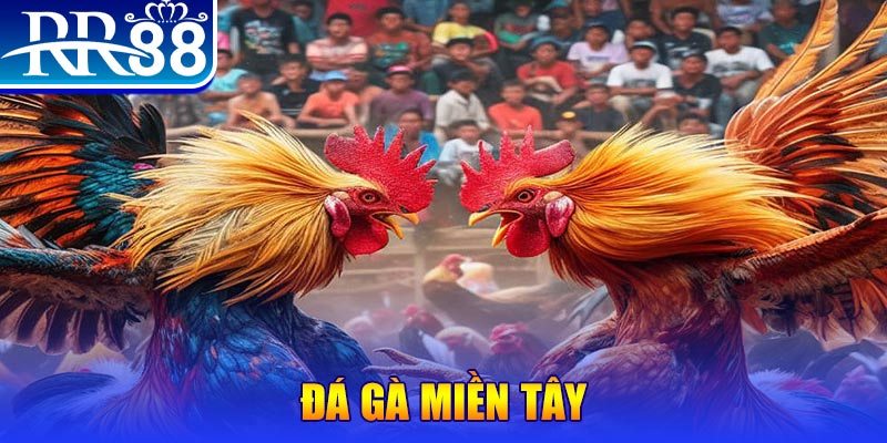 zom club đăng nhập liêng đổi thưởng