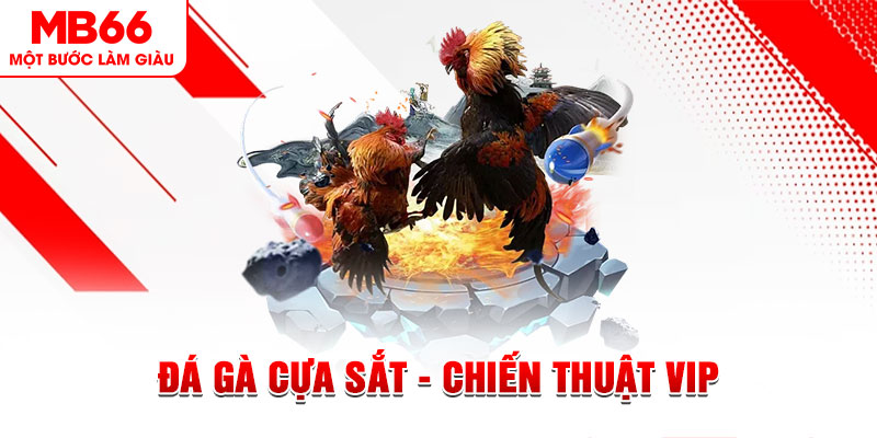 zom club slot out là gì