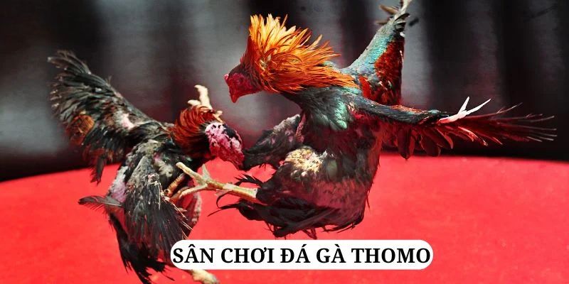 zom club quay nổ hũ là gì