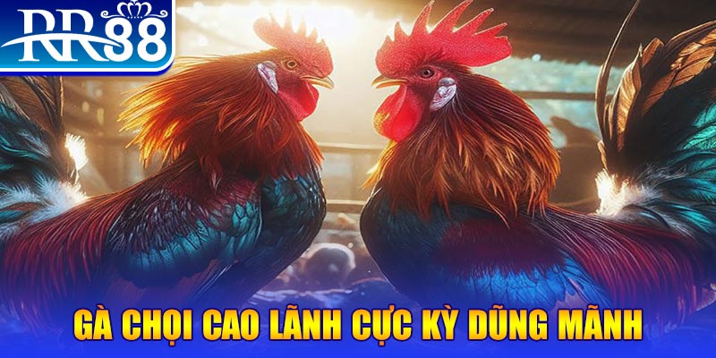 zom club đăng nhập poker live